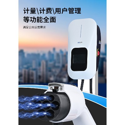 源头厂家充电桩塑料胶外壳公模模具7KW单双枪欧美国标新能源电动